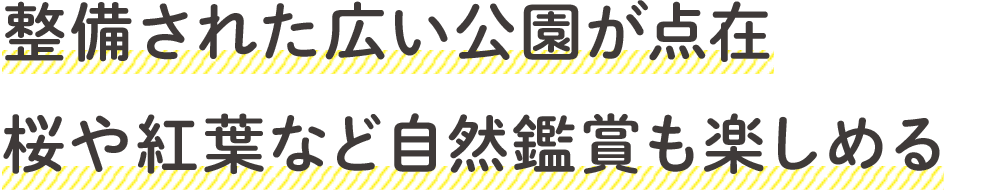 整備された広い公園が点在　桜や紅葉など自然鑑賞も楽しめる