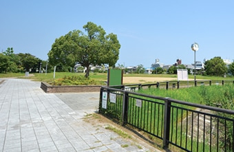 宮の池公園