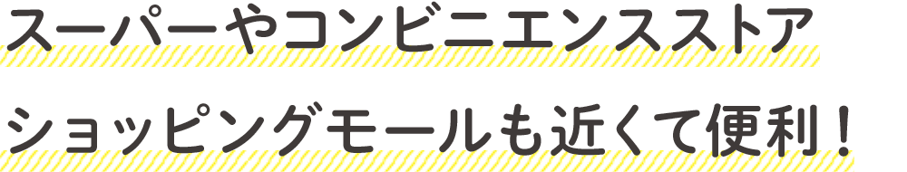 スーパーやコンビニエンスストア　ショッピングモールも近くて便利！