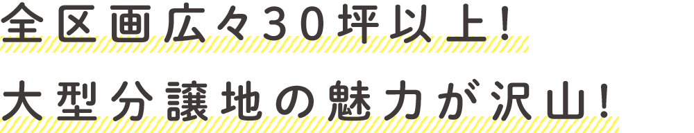 全区画広々30坪以上!大型分譲地の魅力が沢山!