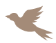 幸せの鳩