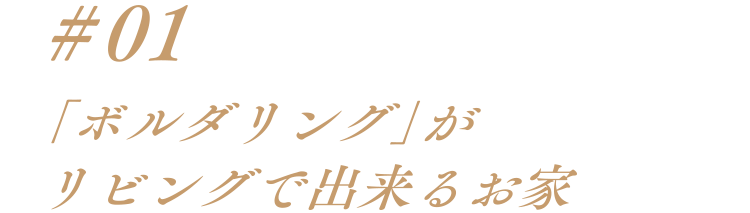 #01「ボルダリング」がリビングで出来るお家