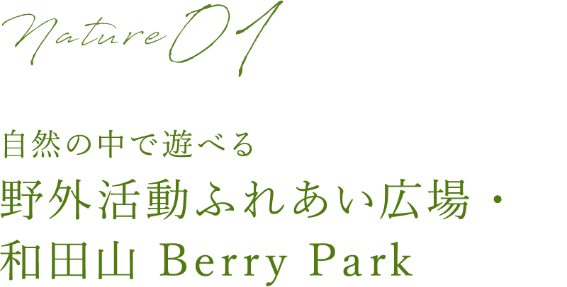 自然の中で遊べる 野外活動ふれあい広場・和田山 Berry Park