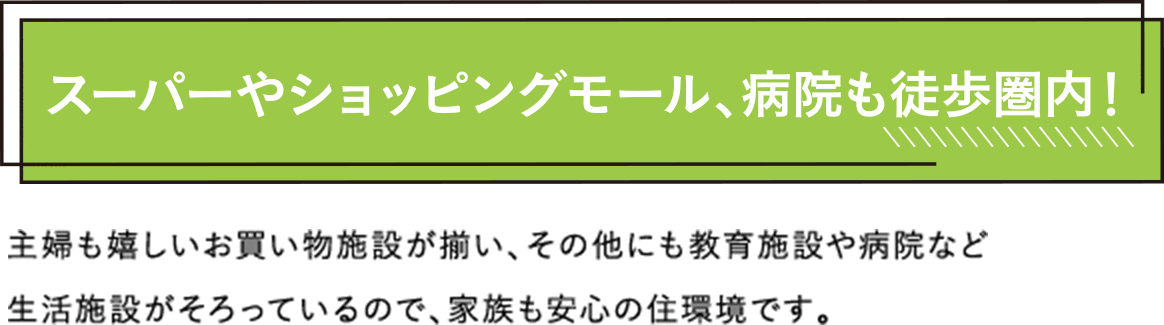 スーパーやショッピングモール、も病院も徒歩圏内！