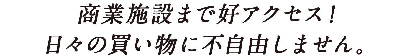 商業施設まで好アクセス！日々の買い物に不自由しません。