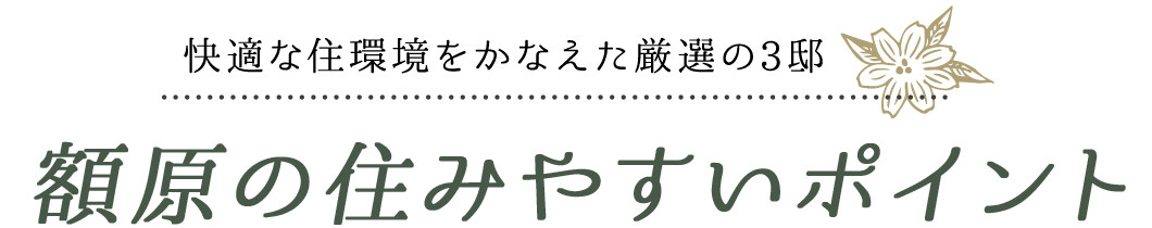 快適な住環境をかなえた厳選の3邸　額原の住みやすいポイント