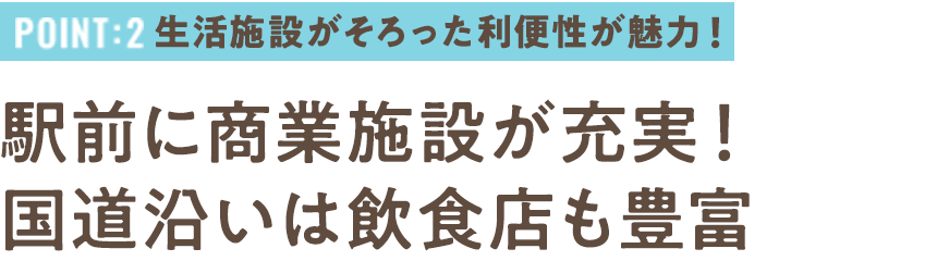 Point2 生活施設がそろった利便性が魅力！駅前に商業施設が充実！国道沿いは飲食店も豊富