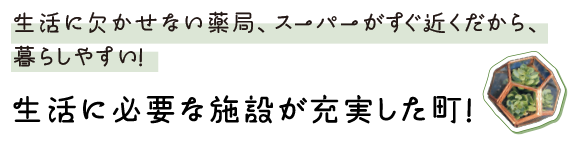生活に欠かせない薬局、スーパーが近くだから、暮らしやすい！ 生活に必要な施設が充実した町!