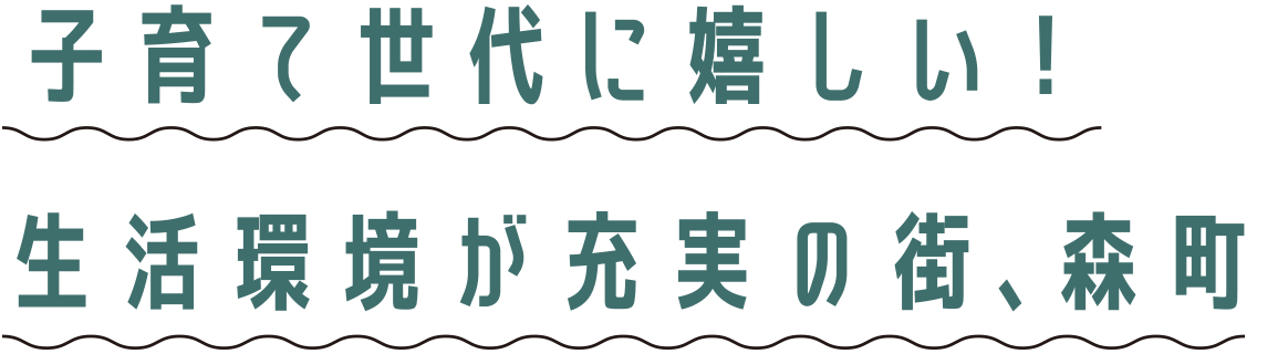 プレミアタウン森町　ポイント