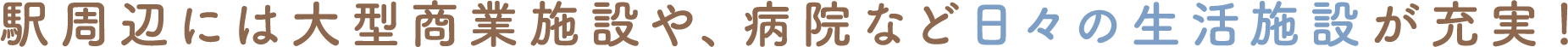 駅周辺には大型商業施設や、病院など日々の生活施設が充実！