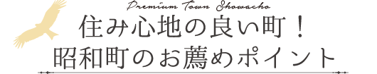 住み心地の良い町！昭和町のお薦めポイント