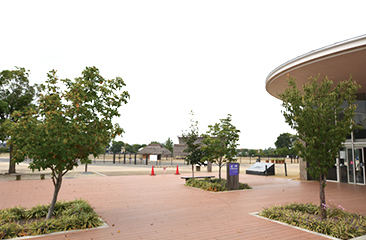 池上曽根史跡公園