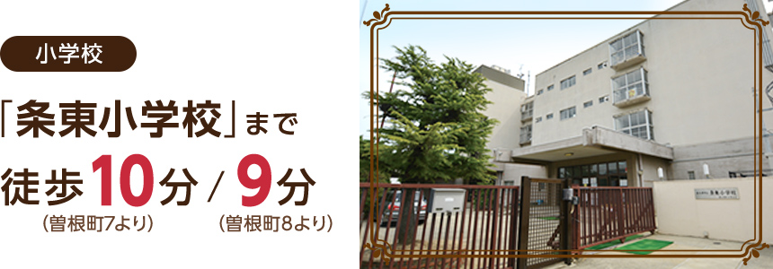 「条東小学校」まで徒歩10分 / 9分