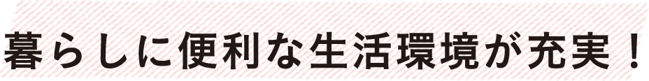 暮らしに便利な生活環境が充実！